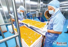 及动物、人物等制型产物